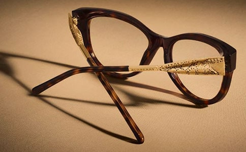 天才眼镜狗观后感