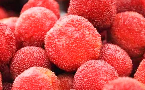 ������÷��ֲ�չ���ͬ����