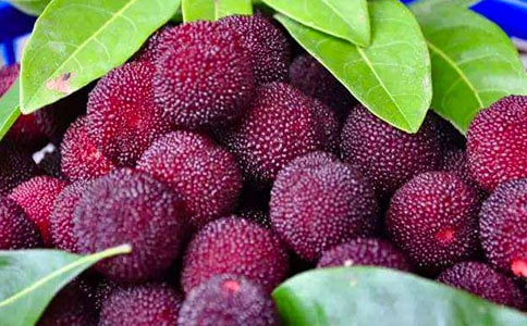 ���Ұ��������÷����ѧ���