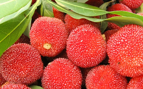 ��÷��ֲ�չ���ͬ(2ƪ)