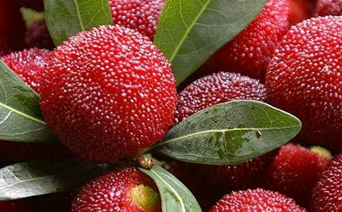 ��÷��ֲ�չ�Э��