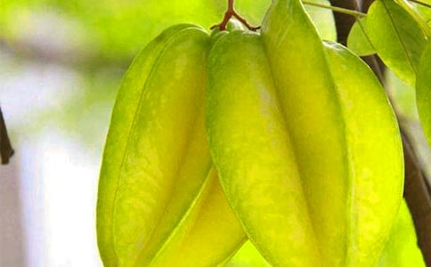 �������ҡ���ѧ��˼[��ѡ15ƪ]