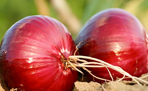 �����ͷ���ռǡ��Ķ���з���