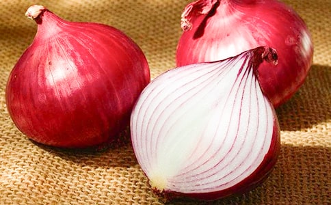 �������ͷ���ռǡ��иС�����15ƪ��