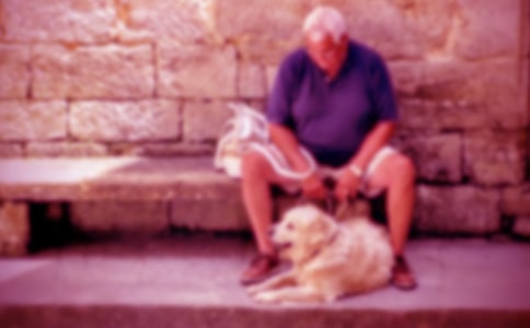 �����ٺ�үү���ۺ��(15ƪ)