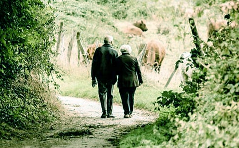 《爷爷一定有办法》读后感