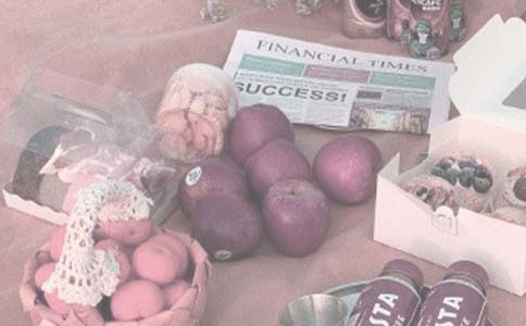 【推荐】小班小猪的野餐教案四篇