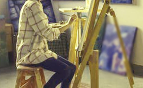 ����ѡ�������ڻ�ܽ�