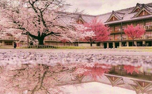 ӣ��������ܶ����