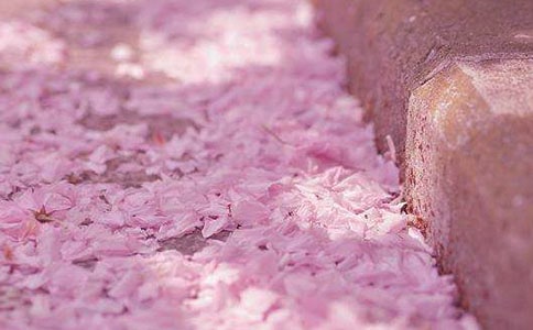 ��ӣ��������ܡ������