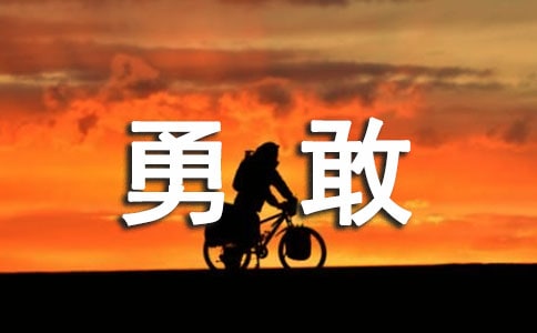 《勇敢的心》读后感