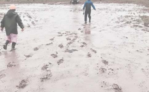 ������˹����ܽ�