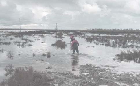 ������˹����ܽ�[����]