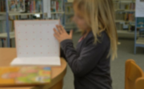 �׶�԰С����˹����ܽ᡾���š�