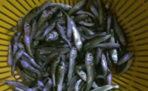 �޷�����������ͬ