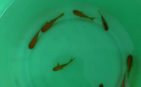 ���繺����ͬ��������12ƪ