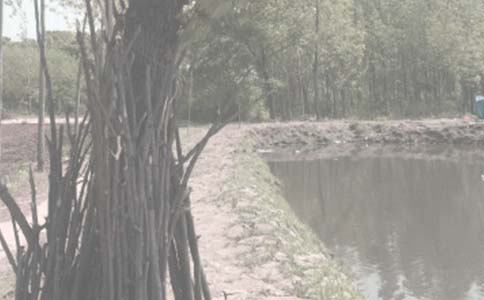 ũ�������а���ӪȨת��Э��