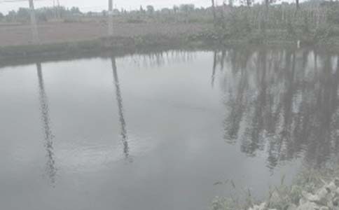 ũ�������а���ͬ������15ƪ��