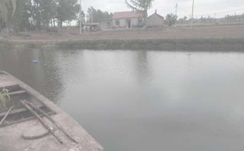 �����а���ͬ��ѡ[15ƪ]