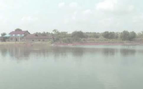 鱼塘承包合同合集15篇