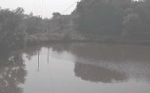 ũ�������а���ͬ