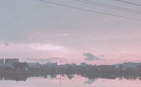 ���������а���ͬ����