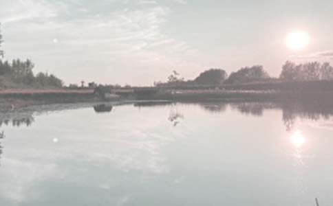 (实用)鱼塘承包合同