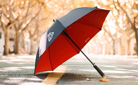 《一样的雨伞》小班上学期语言教案