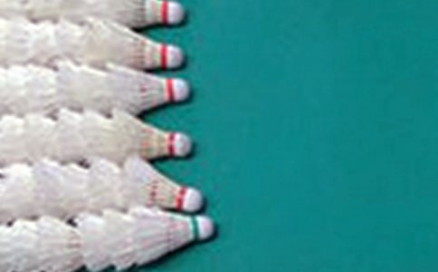 ��ë�������ܽ�(15ƪ)