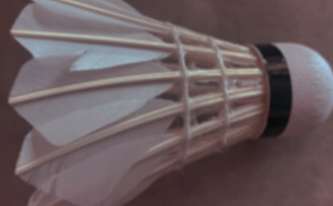 ��ë�������ܽ᡾����15ƪ��