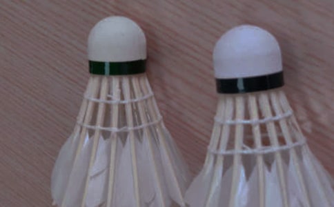 ��ë�������ܽ�