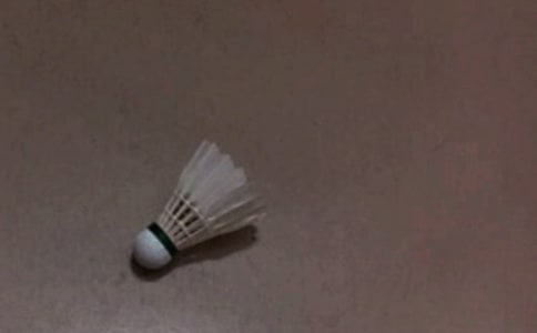 ��ë�������ܽ�(����15ƪ)