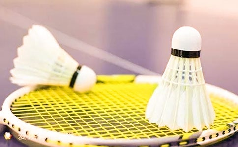 ��ë���ĵ����