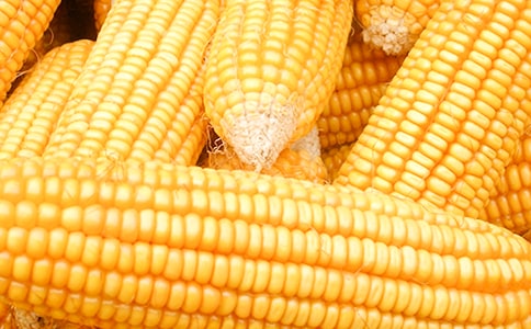 �������չ���ͬ����4ƪ