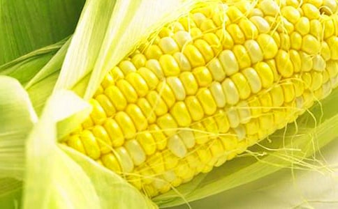 收购玉米合同汇编8篇