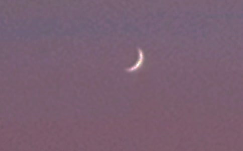 �����������̰�������ƪ