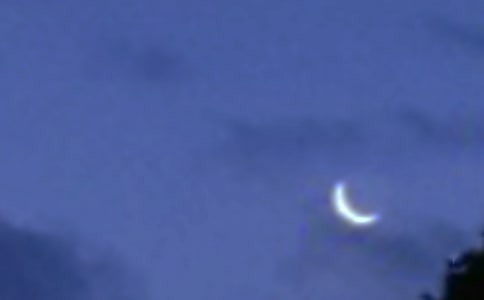 ���������Ӷ����