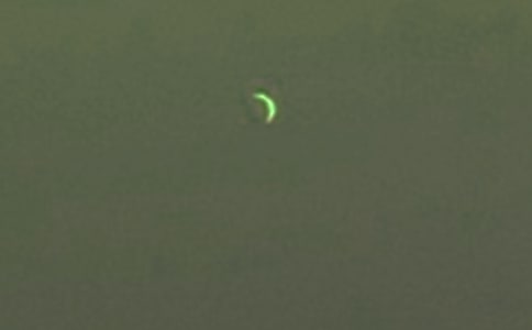 �������Ծ���60�侫ѡ