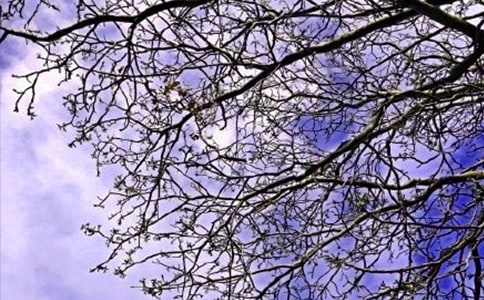 ���䶯�˵��簲QQ�ʺ���27��