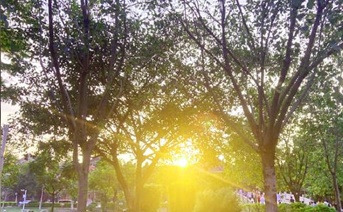 ��̵Ķ��˵��簲�ʺ������ժ¼71��