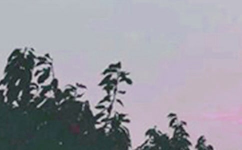 ���õ��簲QQ�ʺ���42��