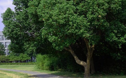 �����š��ʺ����Ϸ����簲�ʺ�����¼�ϼ�54��