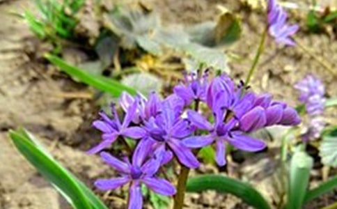 �����������˵��簲QQ�ʺ���48��