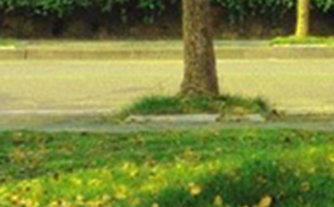 ��ѡ���˵��簲QQ�ʺ���46��