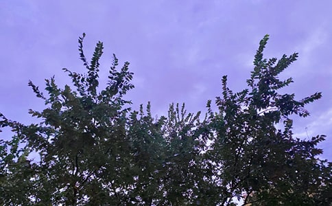 ��ѡ�ʺϸ����ѵ��簲QQ�ʺ���64��