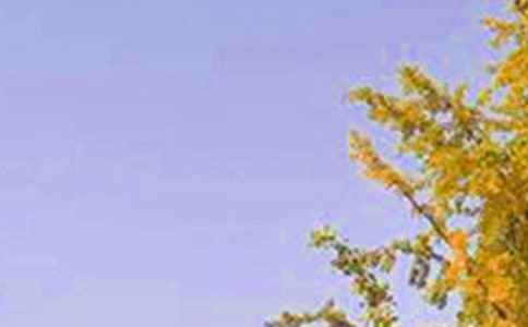 ͨ��ÿ��һǩ�簲����Ȧ�ʺ���29��