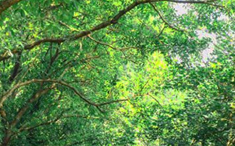 2025��ͨ��ף��������簲QQ�ʺ���25��