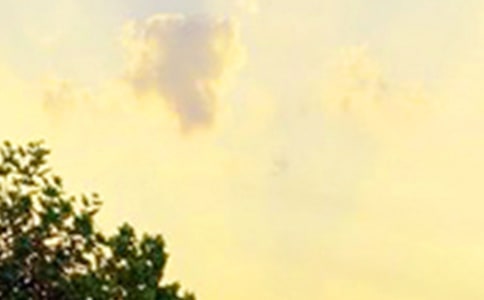 2025����Ķ��˵��簲�ʺ������55��