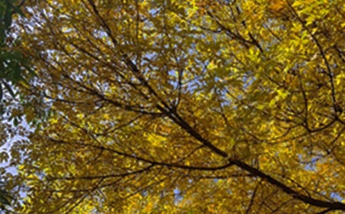 �������õ��簲QQ�ʺ���22��