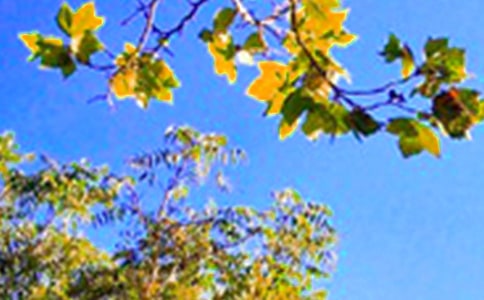 ��ѡ��ܰ���簲����Ȧ�ʺ����ϼ�64��